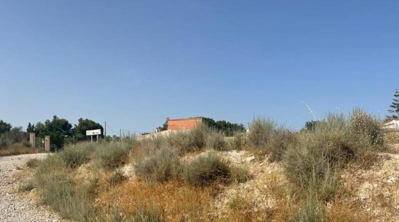 Alicante - Mutxamel - 5000m2