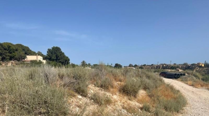 Alicante - Mutxamel - 5000m2