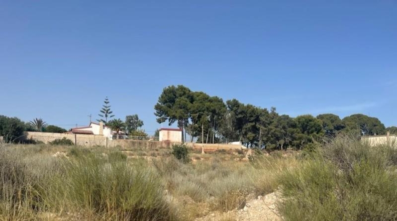 Alicante - Mutxamel - 5000m2