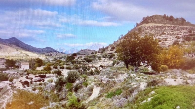 Alicante - Relleu - 19216m2