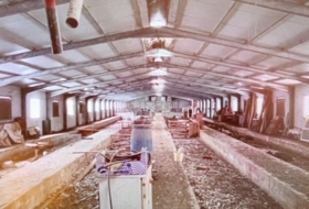 Foto 15