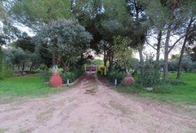 Foto 15