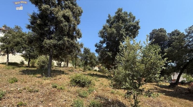 Barcelona - Sentmenat - 1633m2