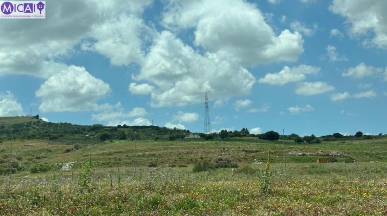 Cádiz - Medina Sidonia - 40000m2
