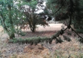 Detached villa with land for sale on España, Grijota, ref: TR142909 photo