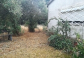 Detached villa with land for sale on España, Grijota, ref: TR142909 photo
