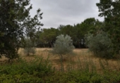 Detached villa with land for sale on España, Grijota, ref: TR142909 photo