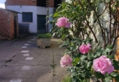 Detached villa with land for sale on España, Pastriz, ref: TR342904 photo