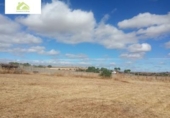 Suelo urbano en venta en la España, Zamora, ref: TR121953 foto
