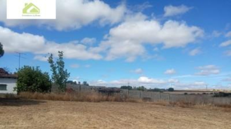 Zamora - Zamora - 3700m2