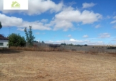 Suelo urbano en venta en la España, Zamora, ref: TR121953 foto