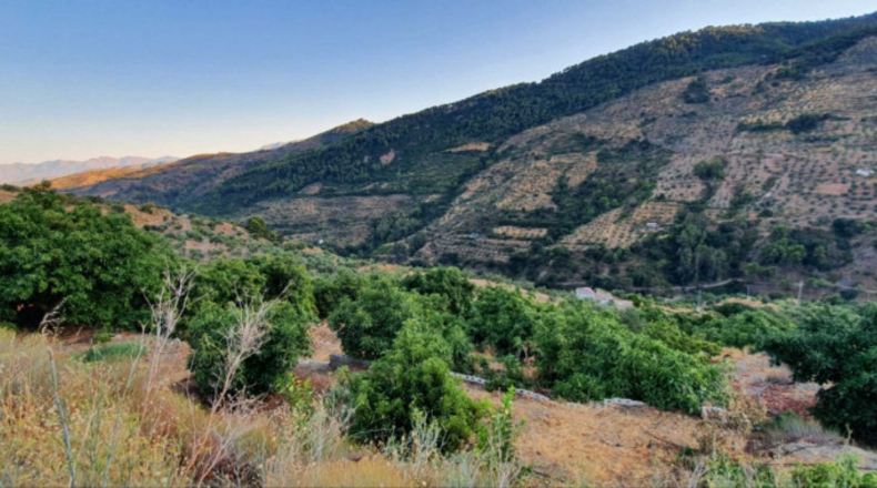 Málaga - Yunquera - 14000m2