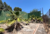 Land suitable for development for sale on España, Torrent, ref: TR131082 photo