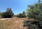 Land suitable for development for sale on España, Torrent, ref: TR131082 photo