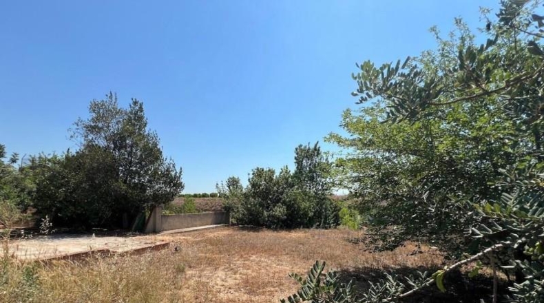 Valencia - Torrente - 1700m2