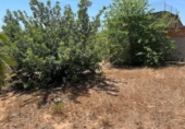 Land suitable for development for sale on España, Torrent, ref: TR131082 photo