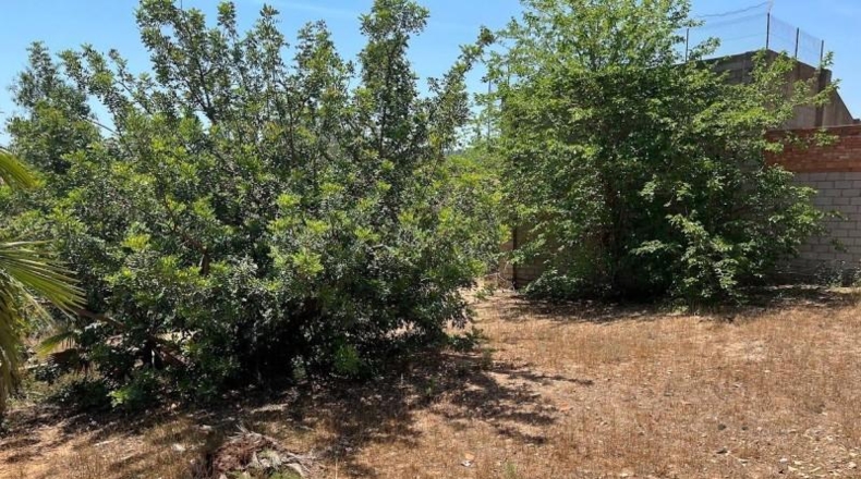 Valencia - Torrente - 1700m2