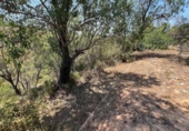 Land suitable for development for sale on España, Torrent, ref: TR131082 photo