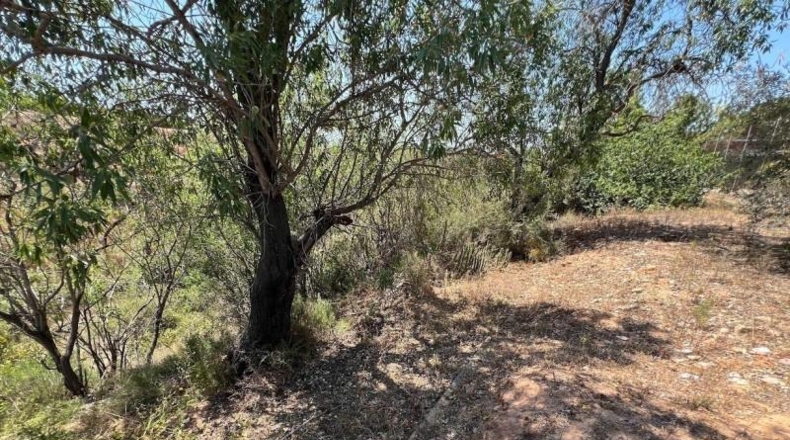 Valencia - Torrente - 1700m2