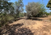 Land suitable for development for sale on España, Torrent, ref: TR131082 photo