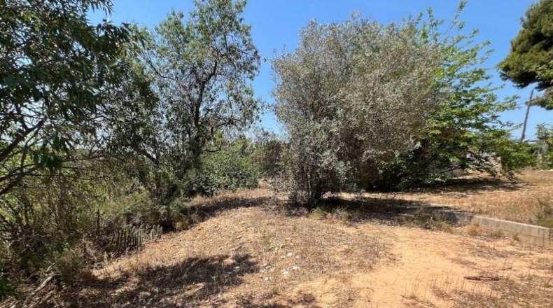 Valencia - Torrente - 1700m2