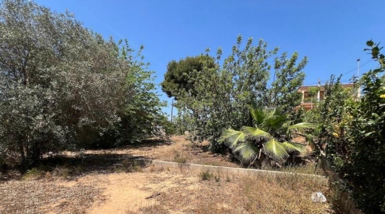 Valencia - Torrente - 1700m2