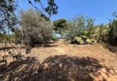 Land suitable for development for sale on España, Torrent, ref: TR131082 photo