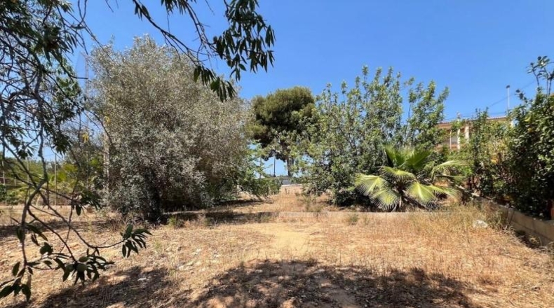 Valencia - Torrente - 1700m2