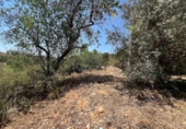 Land suitable for development for sale on España, Torrent, ref: TR131082 photo