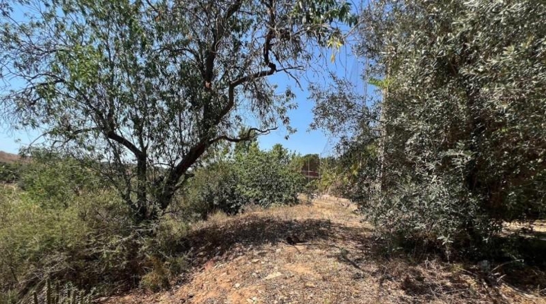 Valencia - Torrente - 1700m2