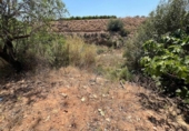 Land suitable for development for sale on España, Torrent, ref: TR131082 photo