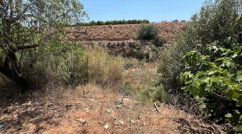 Valencia - Torrente - 1700m2