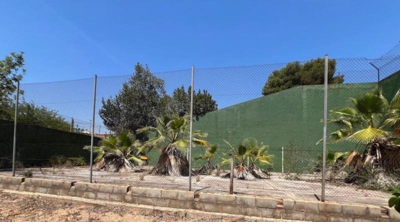 Valencia - Torrente - 1700m2