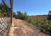 Land suitable for development for sale on España, Torrent, ref: TR131082 photo