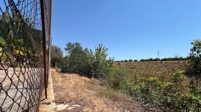 Valencia - Torrente - 1700m2