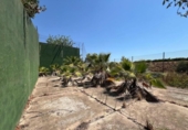 Land suitable for development for sale on España, Torrent, ref: TR131082 photo