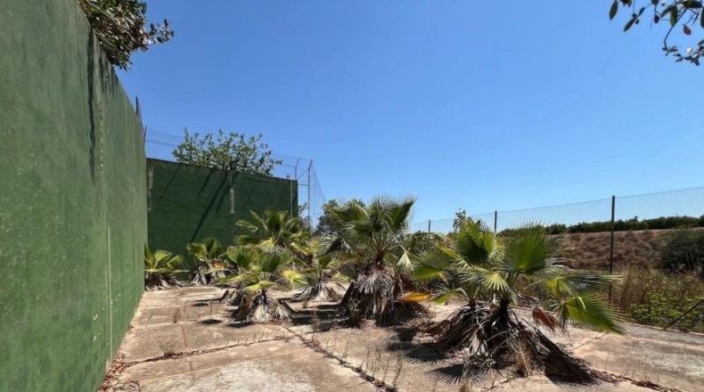 Valencia - Torrente - 1700m2