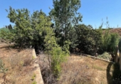 Land suitable for development for sale on España, Torrent, ref: TR131082 photo