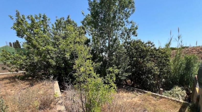 Valencia - Torrente - 1700m2