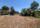 Land suitable for development for sale on España, Torrent, ref: TR131082 photo
