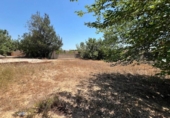 Land suitable for development for sale on España, Torrent, ref: TR131082 photo
