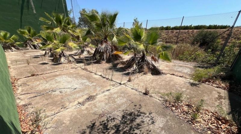 Valencia - Torrente - 1700m2