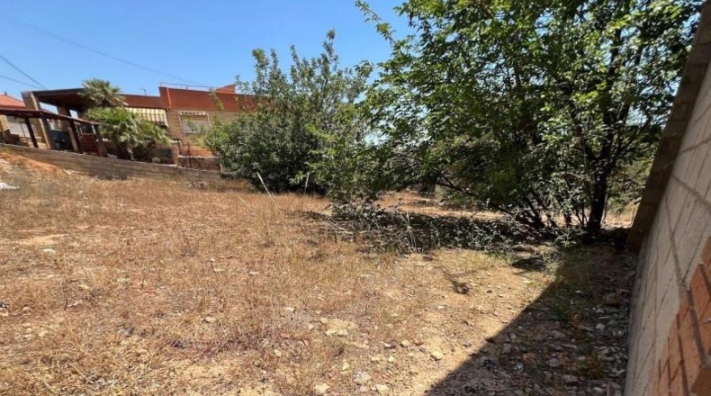 Valencia - Torrente - 1700m2
