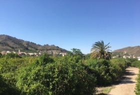 Foto 16