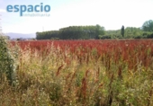 Chalet independiente con terreno en venta en la España, Ponferrada, ref: TR145908 foto