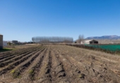 Land suitable for development for sale on España, Fuente Vaqueros, ref: TR238321 photo