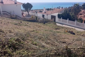 Vélez-Málaga 700&nbsp;m²