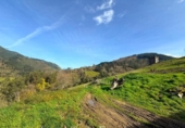 Rural estate for sale on España, Güeñes, ref: TR387258 photo