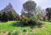 Chalet independiente con terreno en venta en la España, Sotosalbos, ref: TR407174 foto