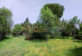 Sotosalbos 1306&nbsp;m²